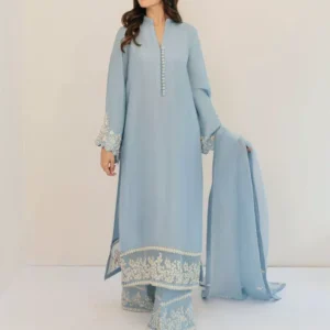 silk party wear long shirt for women Pakistan bysuneha